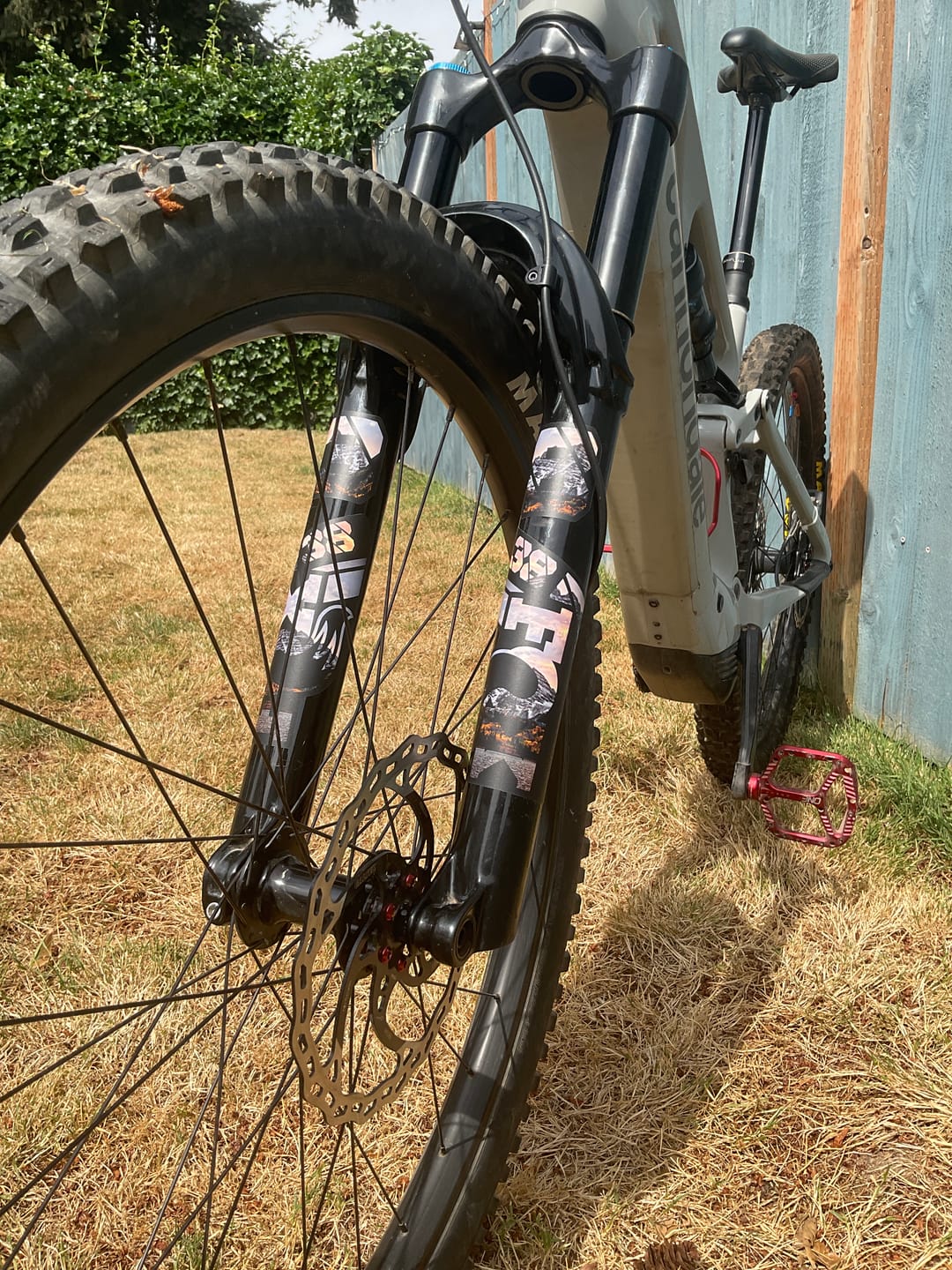 Customer photo review of Custom Fox 38 Decal