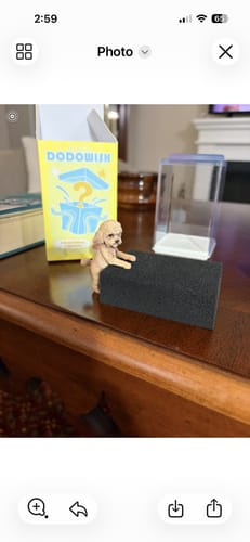 Customer's custom poodle figurine with its box and display case, showing it arrived safely with Shipping Protection.
