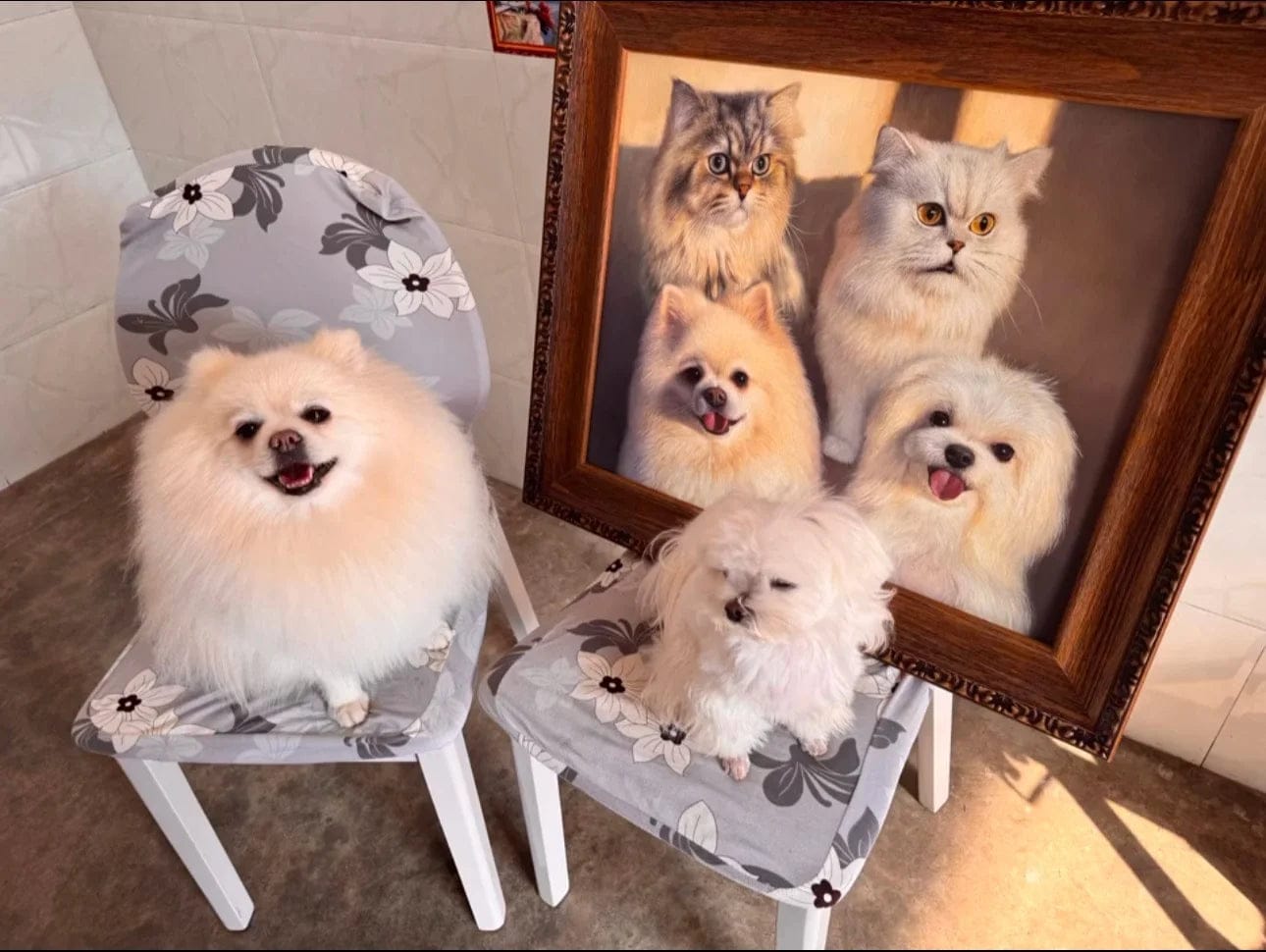 Customer photo review of Modern Pet Portrait | Hand-painted Pet Portrait