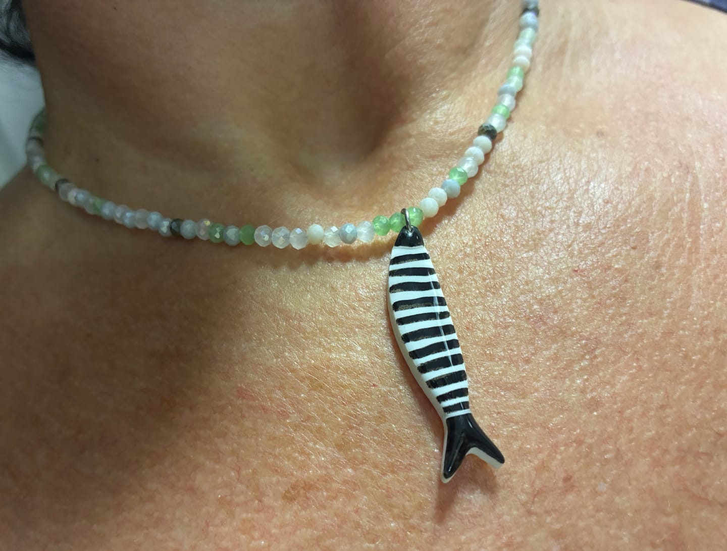 Customer photo review of COLLAR SARDINA