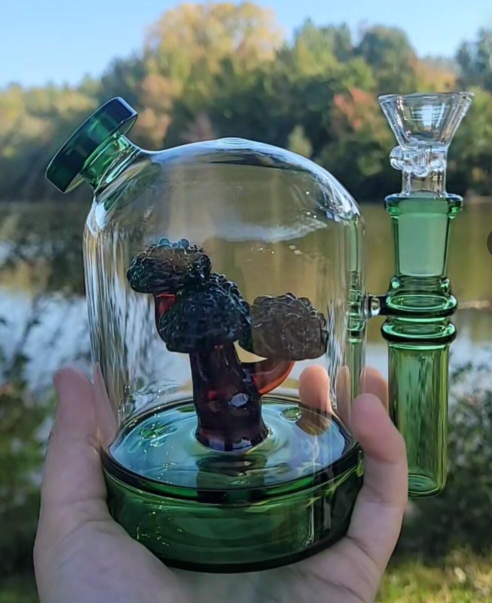 Customer photo review of BONSAI CLOCHE BONG