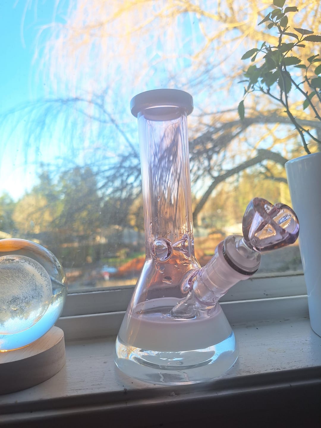 Customer photo review of CLASSY BEAKER BONG 8"