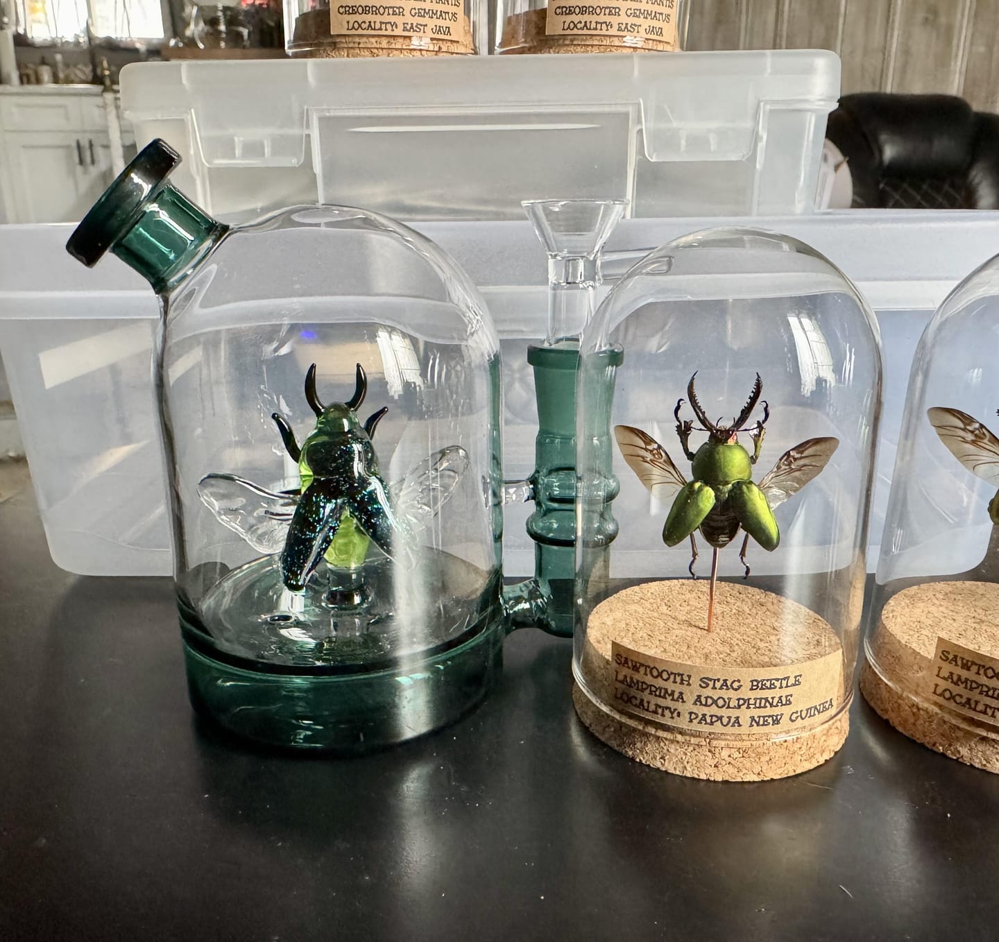 Customer photo review of BEETLE CLOCHE BONG