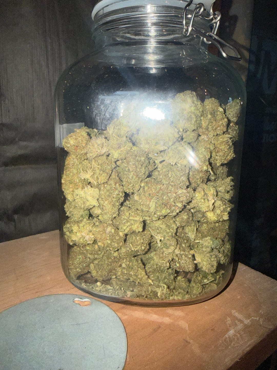 Customer photo review of Lions Cake - Bulk - Hybrid