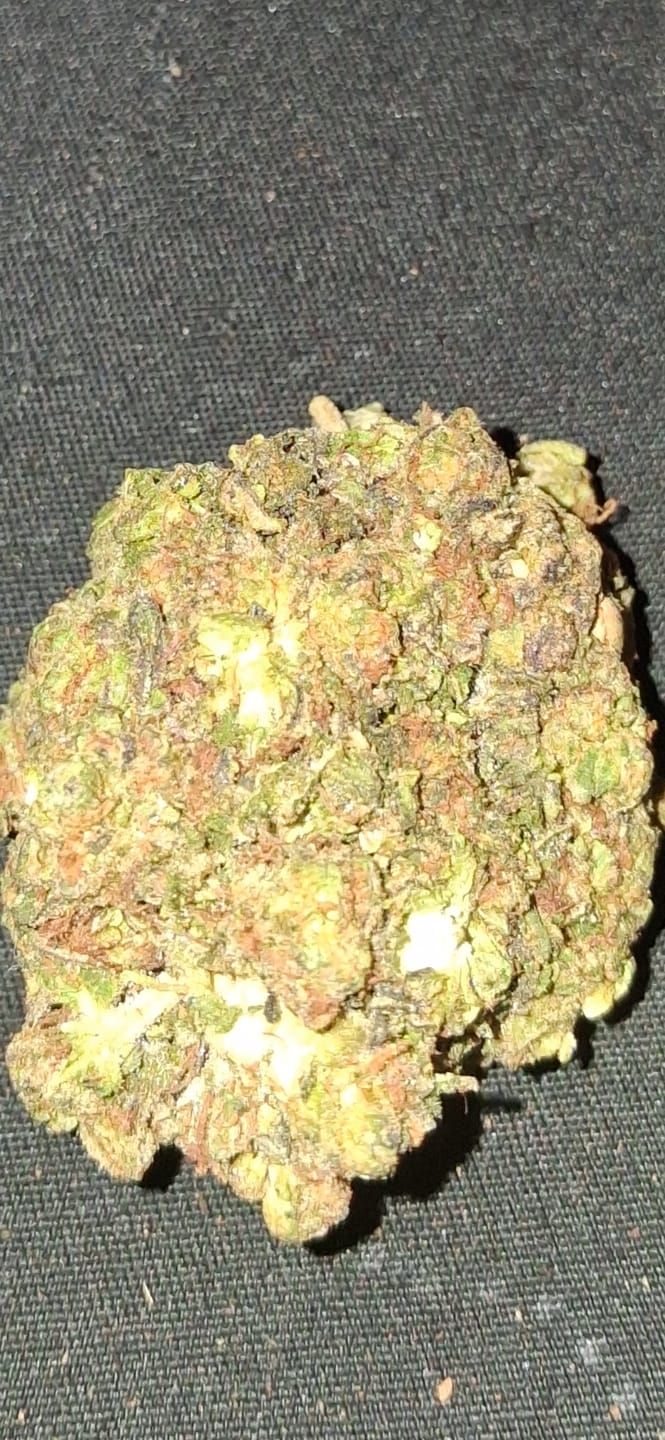 Customer photo review of Platinum Bubba - Bulk - Indica
