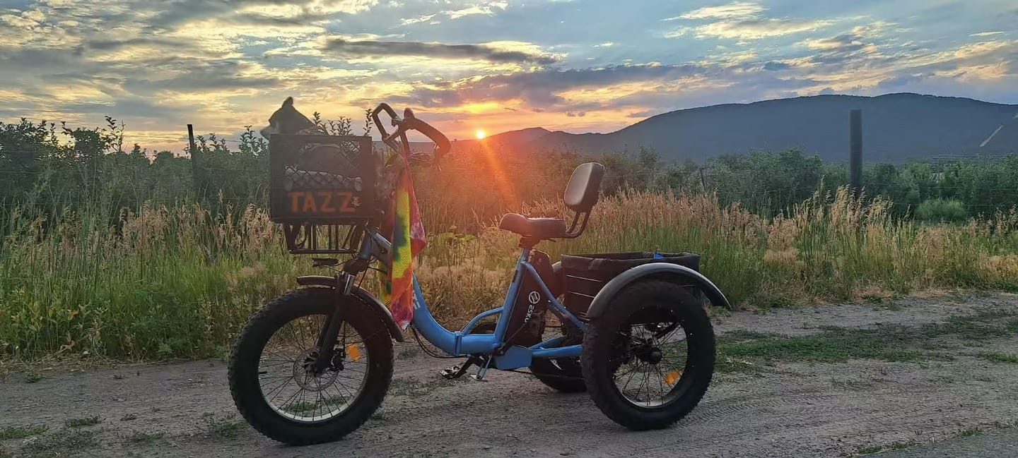 Customer photo review of Eskute® T300Pro Folding Electric Trike