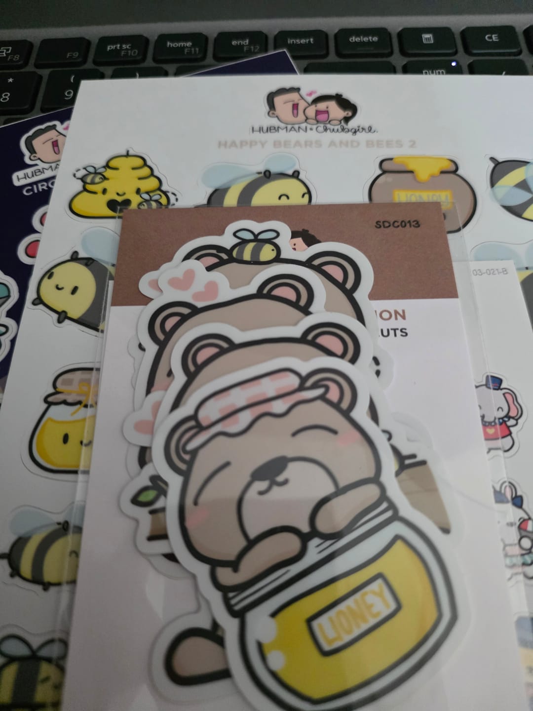 Customer photo review of Bears Die Cut Stickers