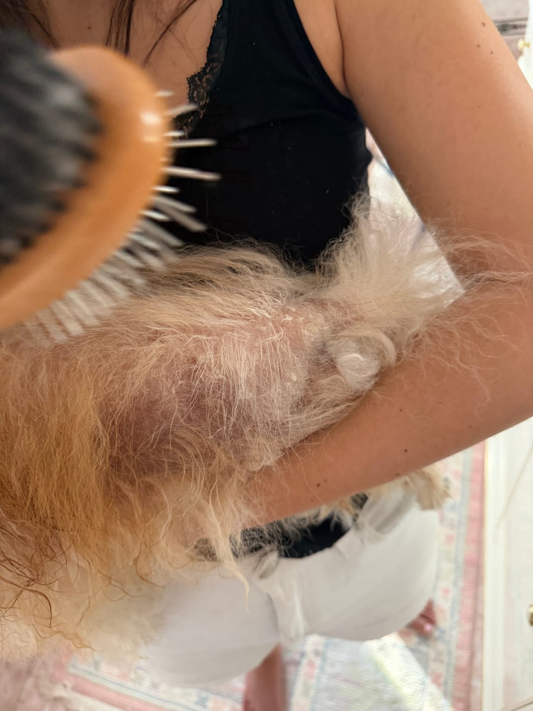 Customer photo review of Volpier Elixir ™| Lozione dermatologica avanzata per BSD, Alopecia X e rigenerazione del mantello