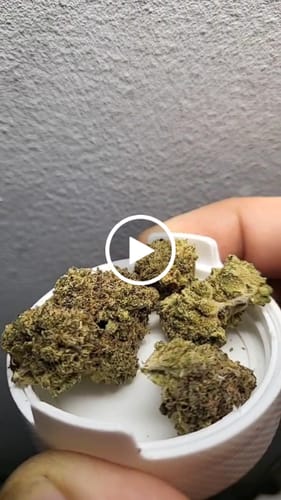Customer video review of THC-A 45% Hash Static