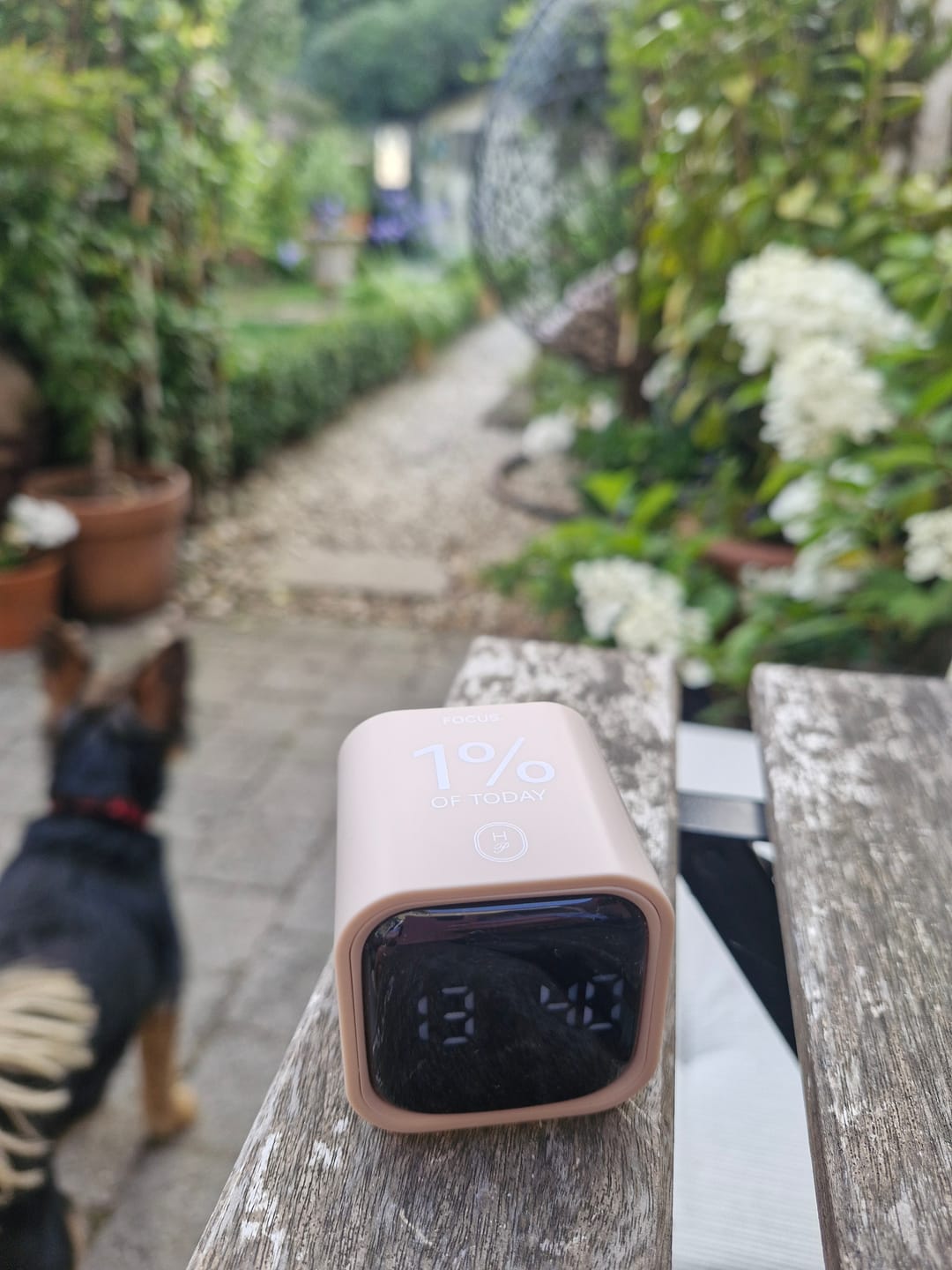 Customer photo review of FOCUS Timer