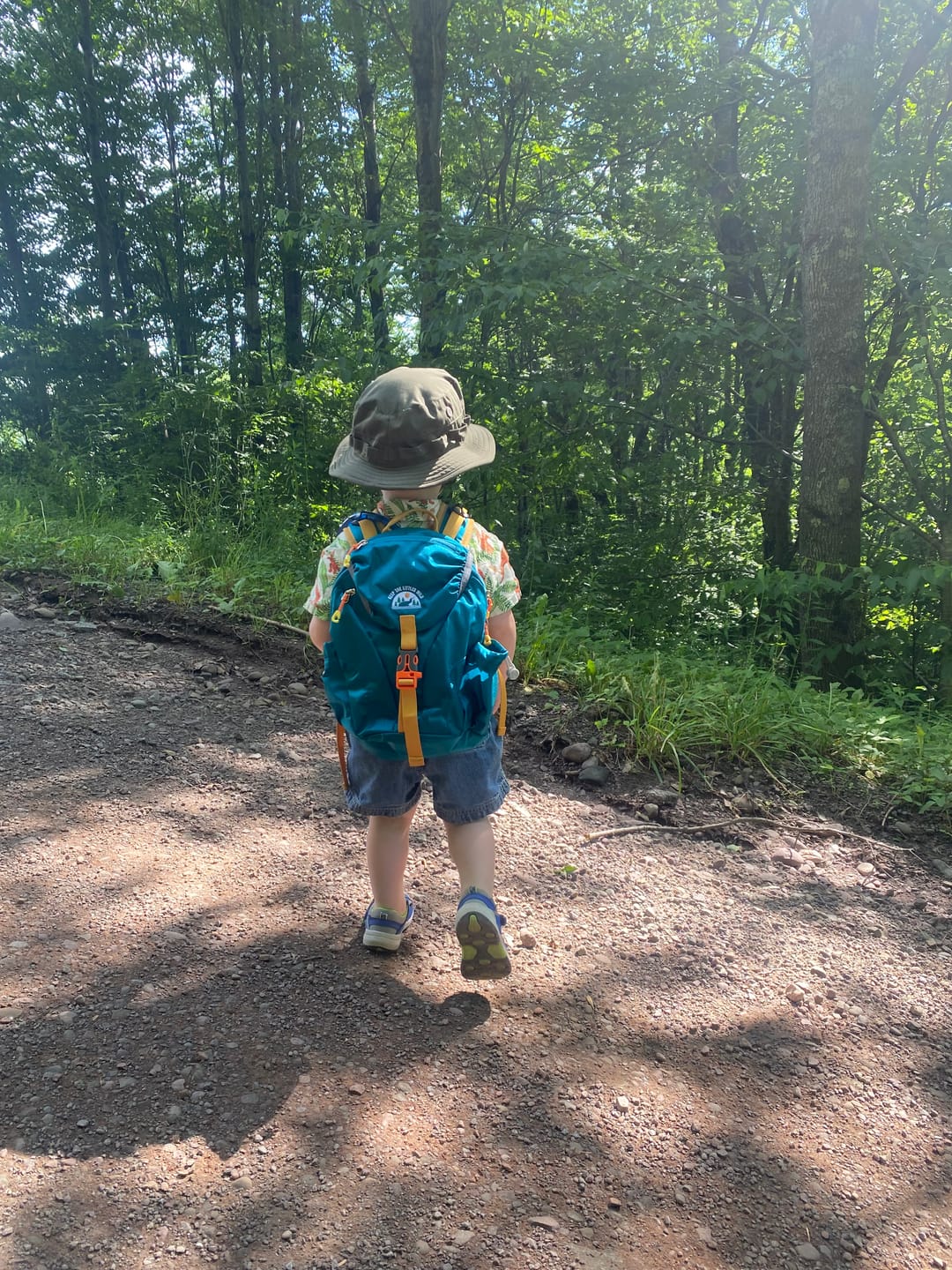 Customer photo review of "Little Explorer" Hiking Backpack | Hydration Ready | Ages 2-7