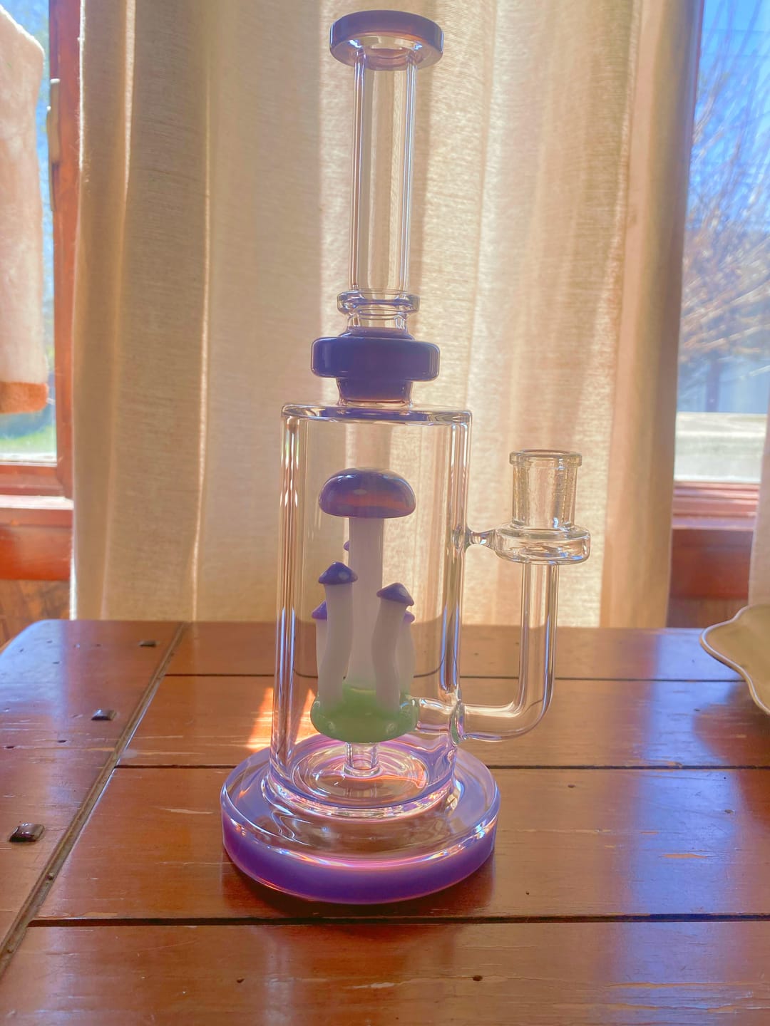 Customer photo review of MUSHROOM TERRANIUM BONG