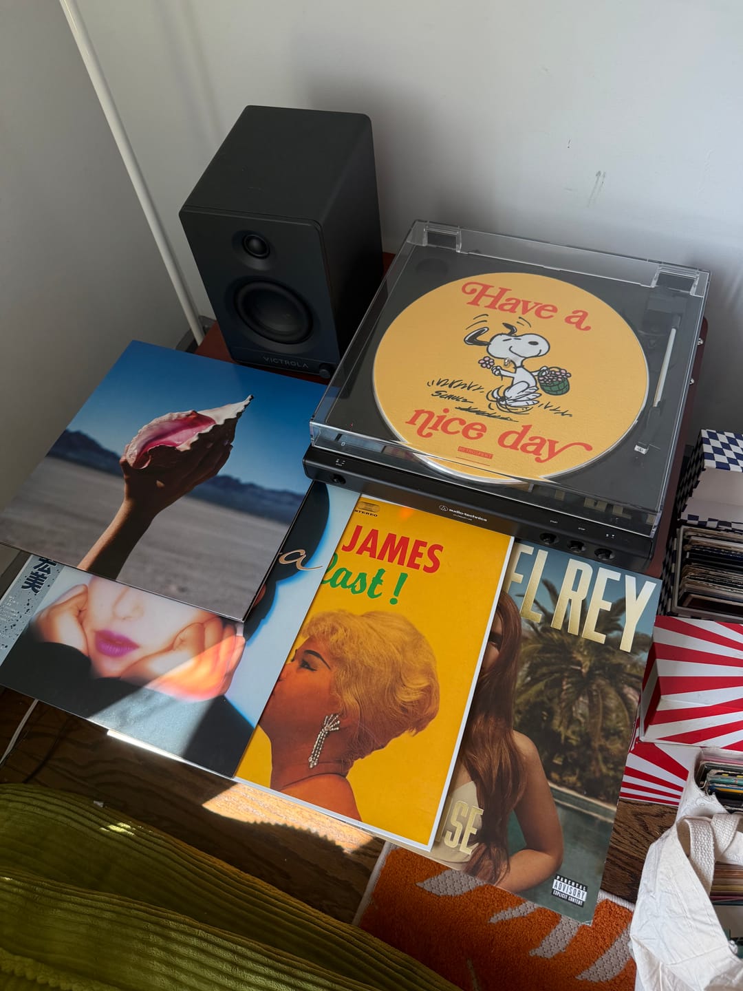 Customer photo review of Snoopy "Have A Nice Day" Double-Sided Turntable Slipmat