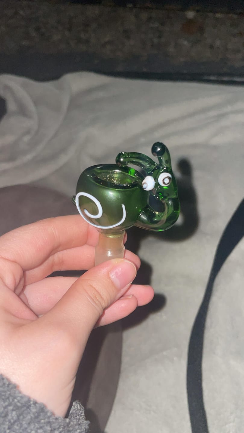 Customer photo review of SNAIL BOWL