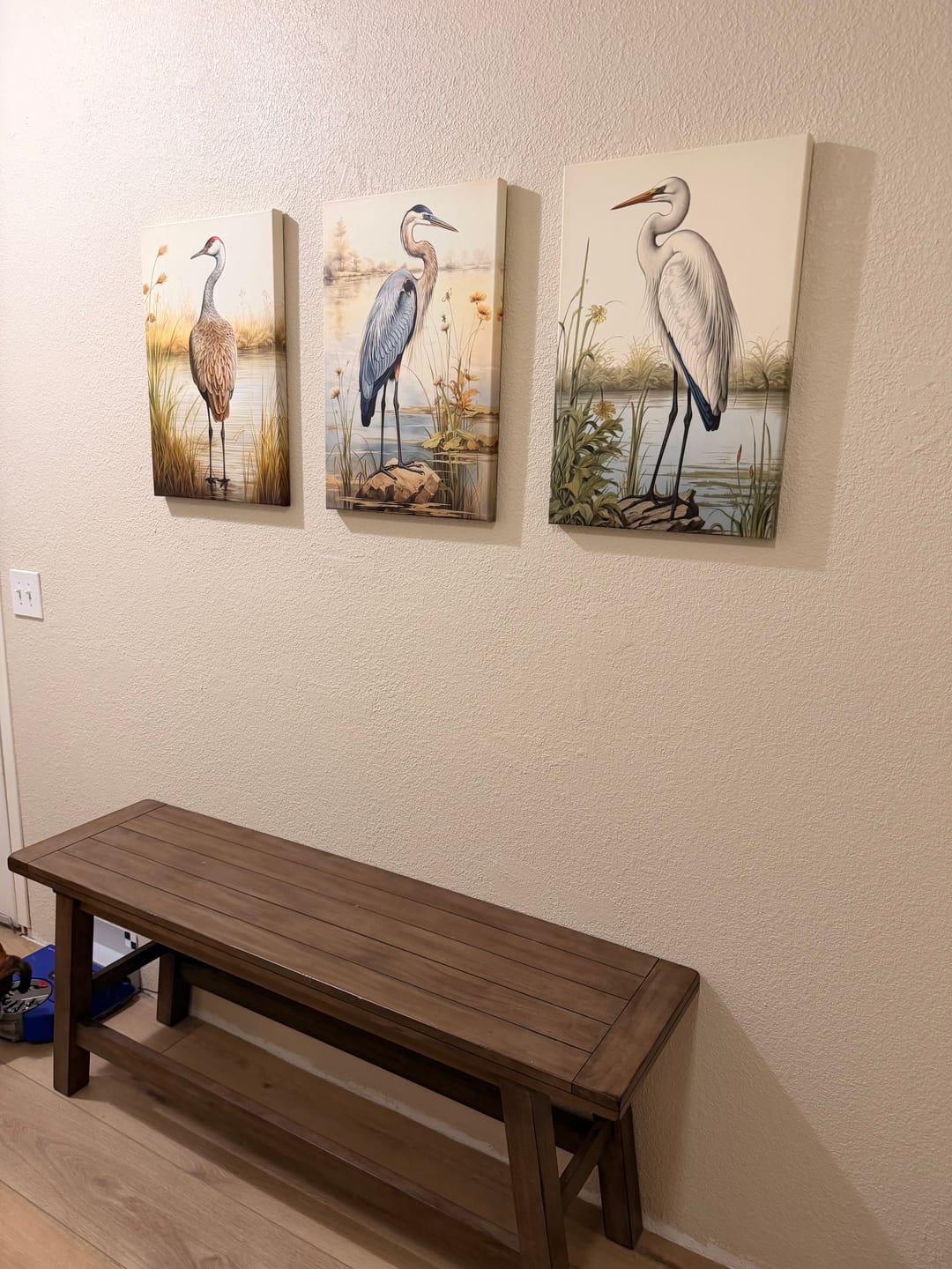 Customer photo review of Set of 3 Coastal Birds Framed Canvas Wall Art - Blue Heron, Great Egret, Sandhill Crane