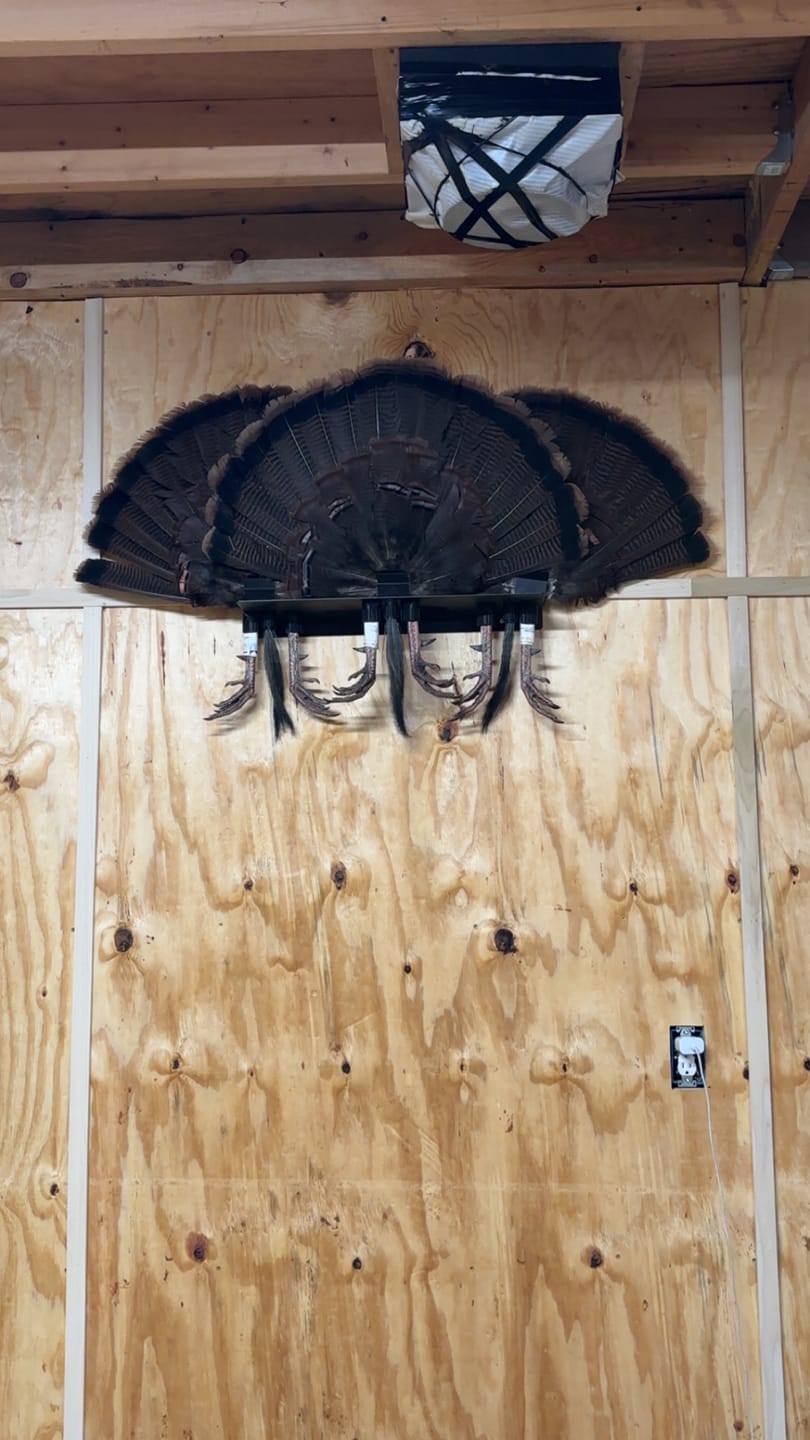 Customer photo review of BeardLok- Turkey Beard Clip