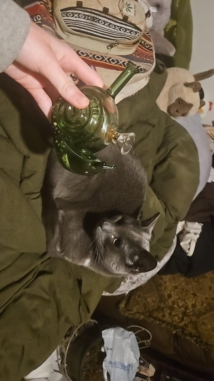 Customer photo review of SNAIL BUBBLER