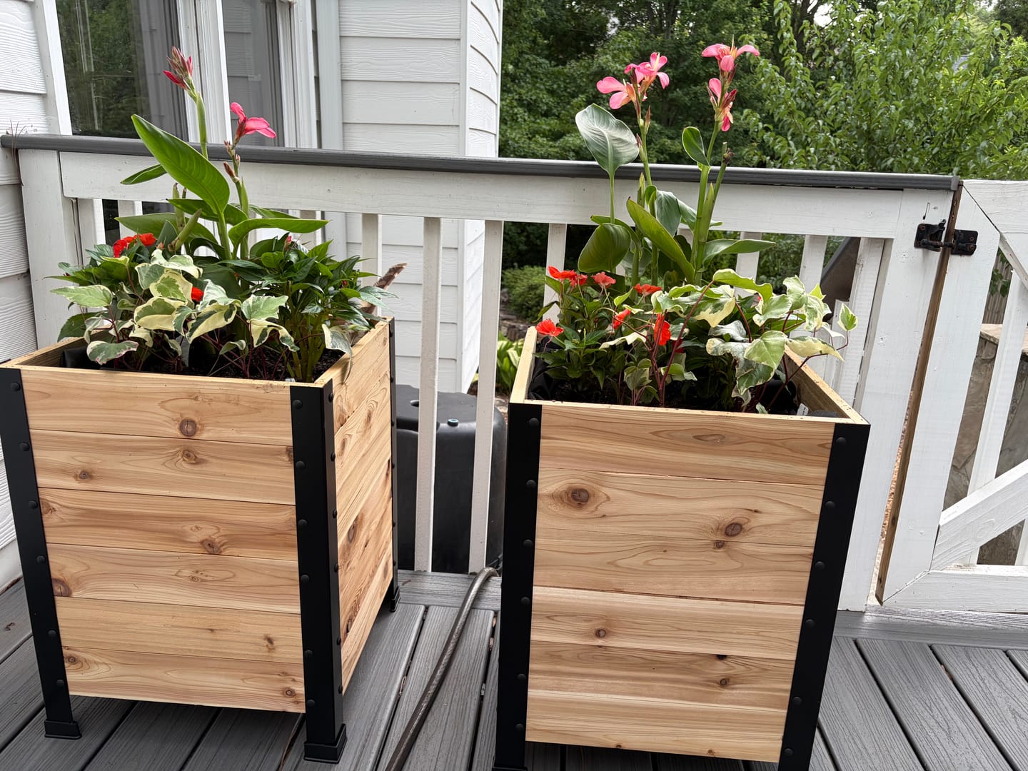 Customer photo review of 18″ x 18″ Planter Box - 24" TALL / Garden Grade