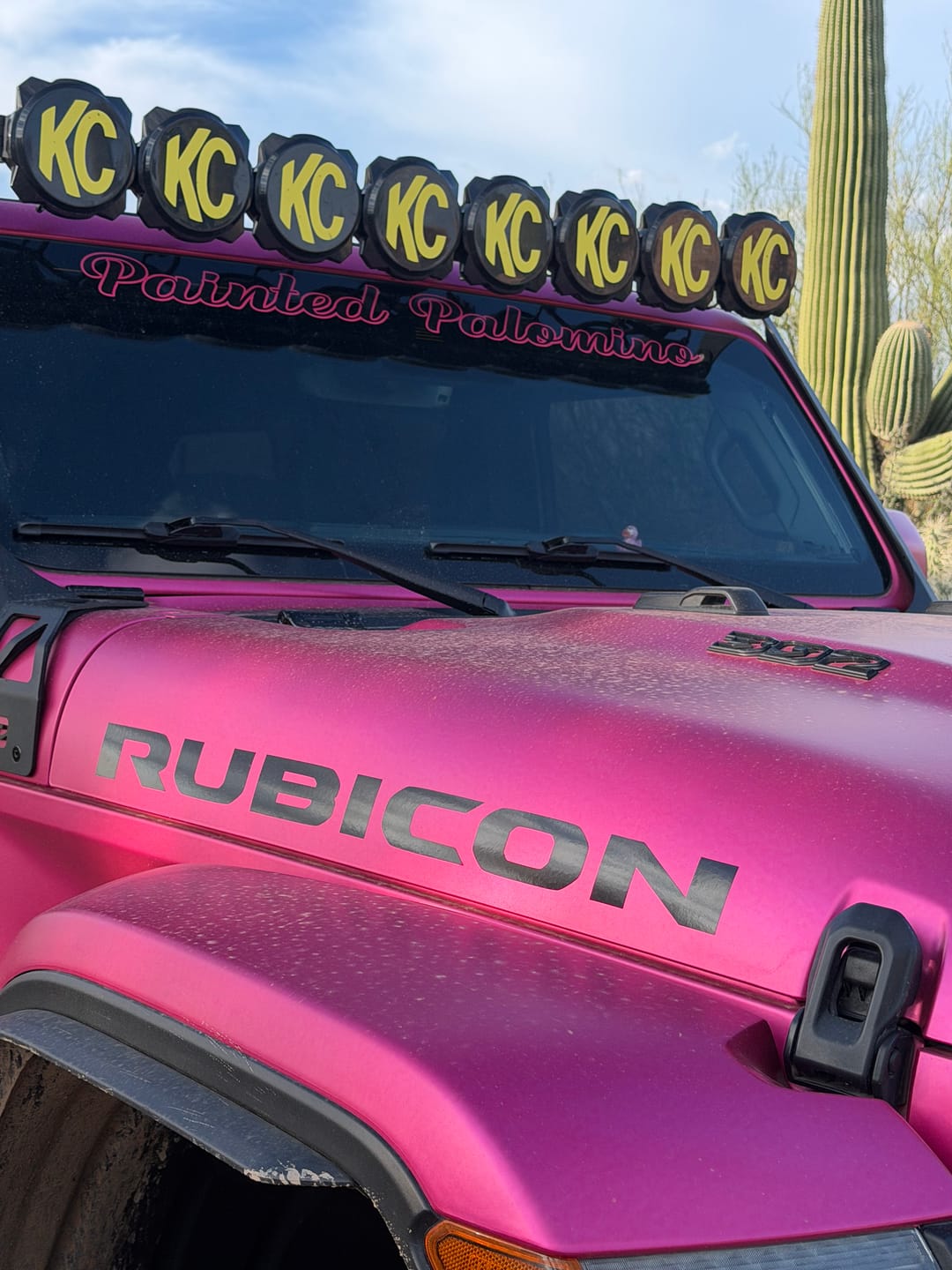 Customer photo review of Windshield Lettering