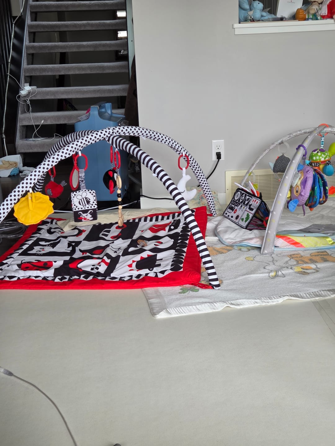 Customer photo review of Ggumbi Licoco Large Non-Toxic Baby Play Mat – 300x110cm Foam, Waterproof & Cushioned (1.8cm Thick)