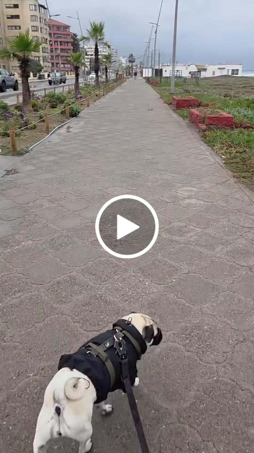 Customer video review of Chaqueta Impermeable de Lluvia - Negro