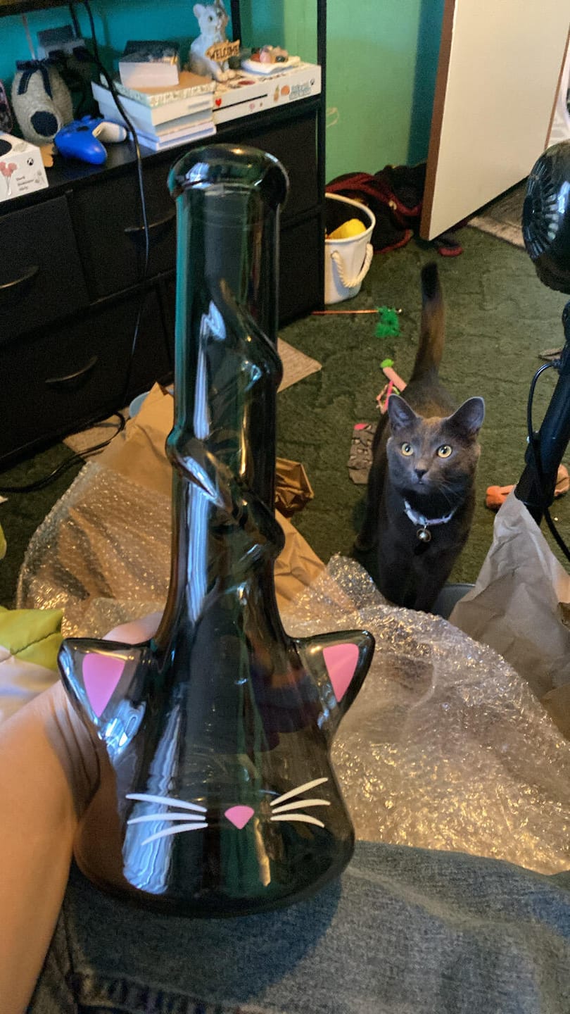 Customer photo review of CAT BONG