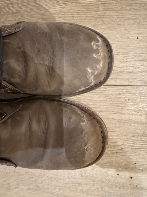 Customer photo review of NEBULA COAL DESERT BOOT