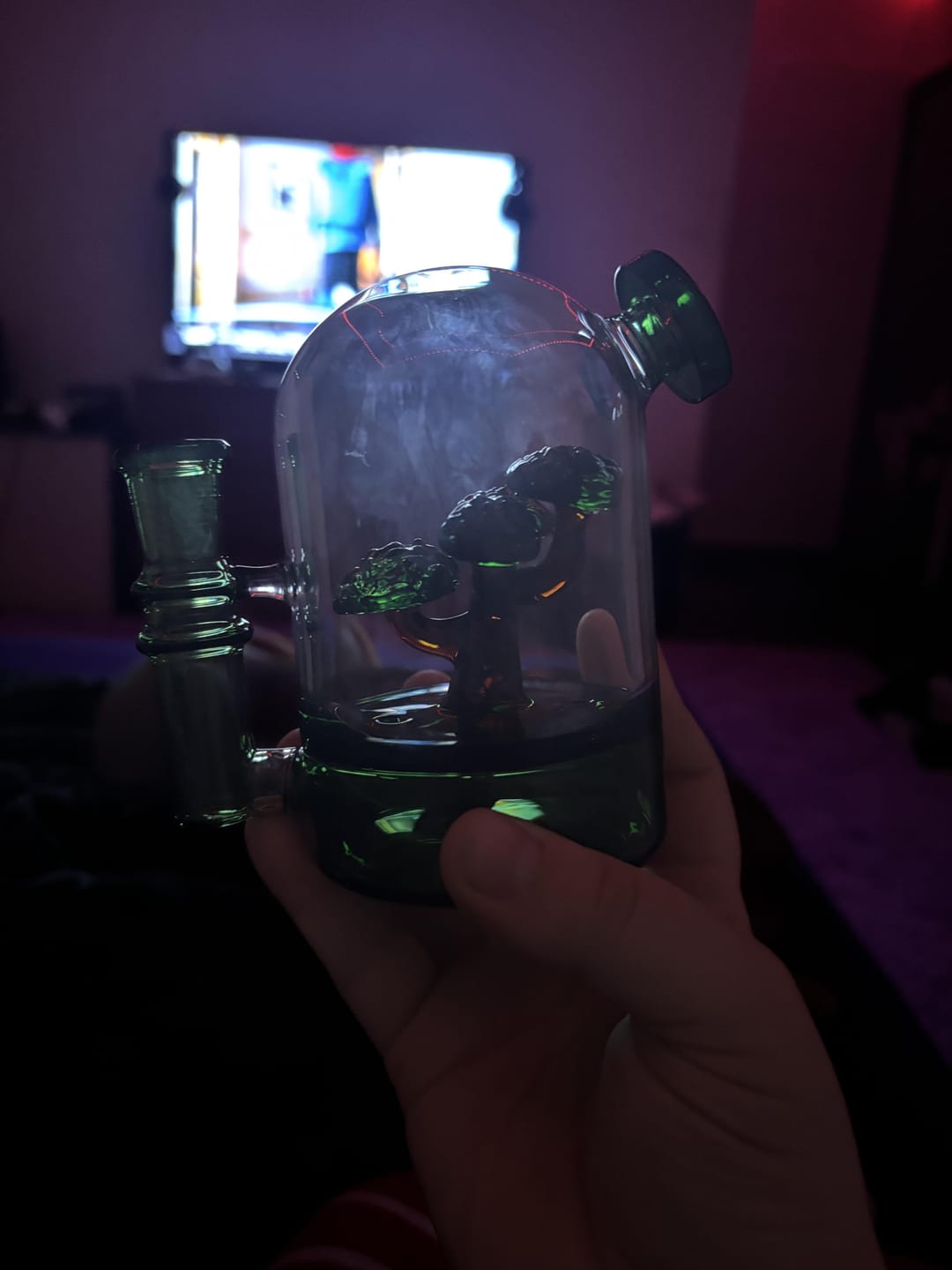 Customer photo review of BONSAI CLOCHE BONG
