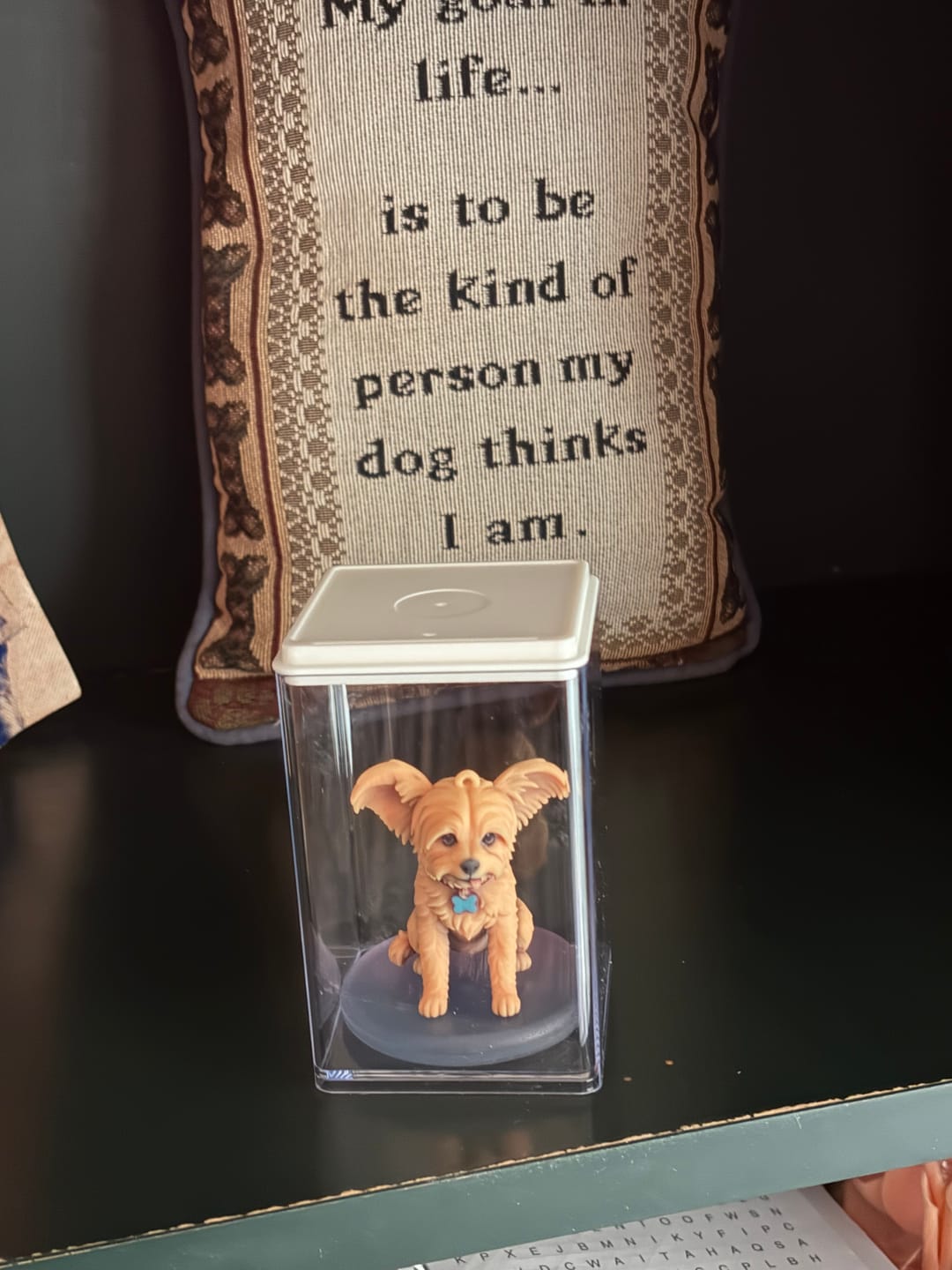 Customer photo review of Dust-Proof Acrylic Display Case