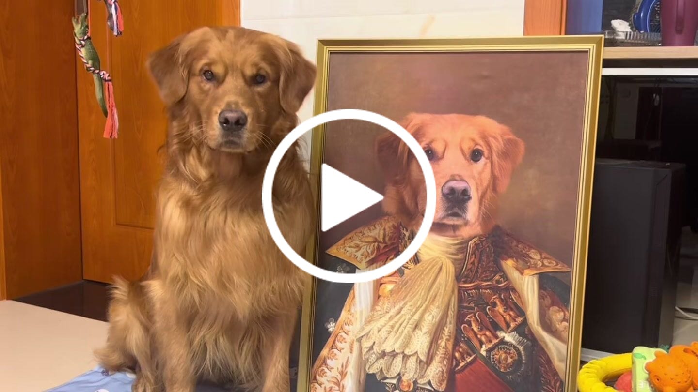 Customer video review of Modern Pet Portrait | Hand-painted Pet Portrait