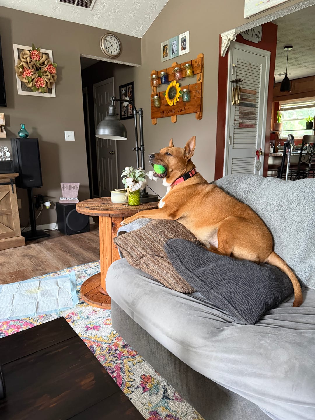 Customer photo review of Tucker's Gold 1000MG