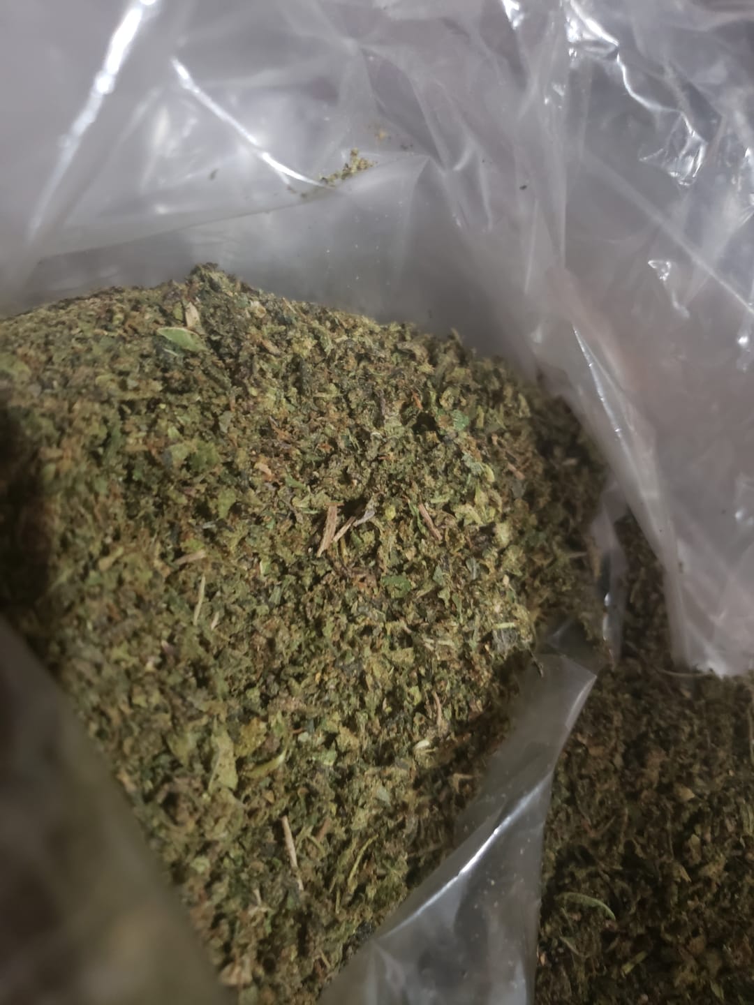 Customer photo review of No7. Super Runtz THCa Shake (Wholesale)
