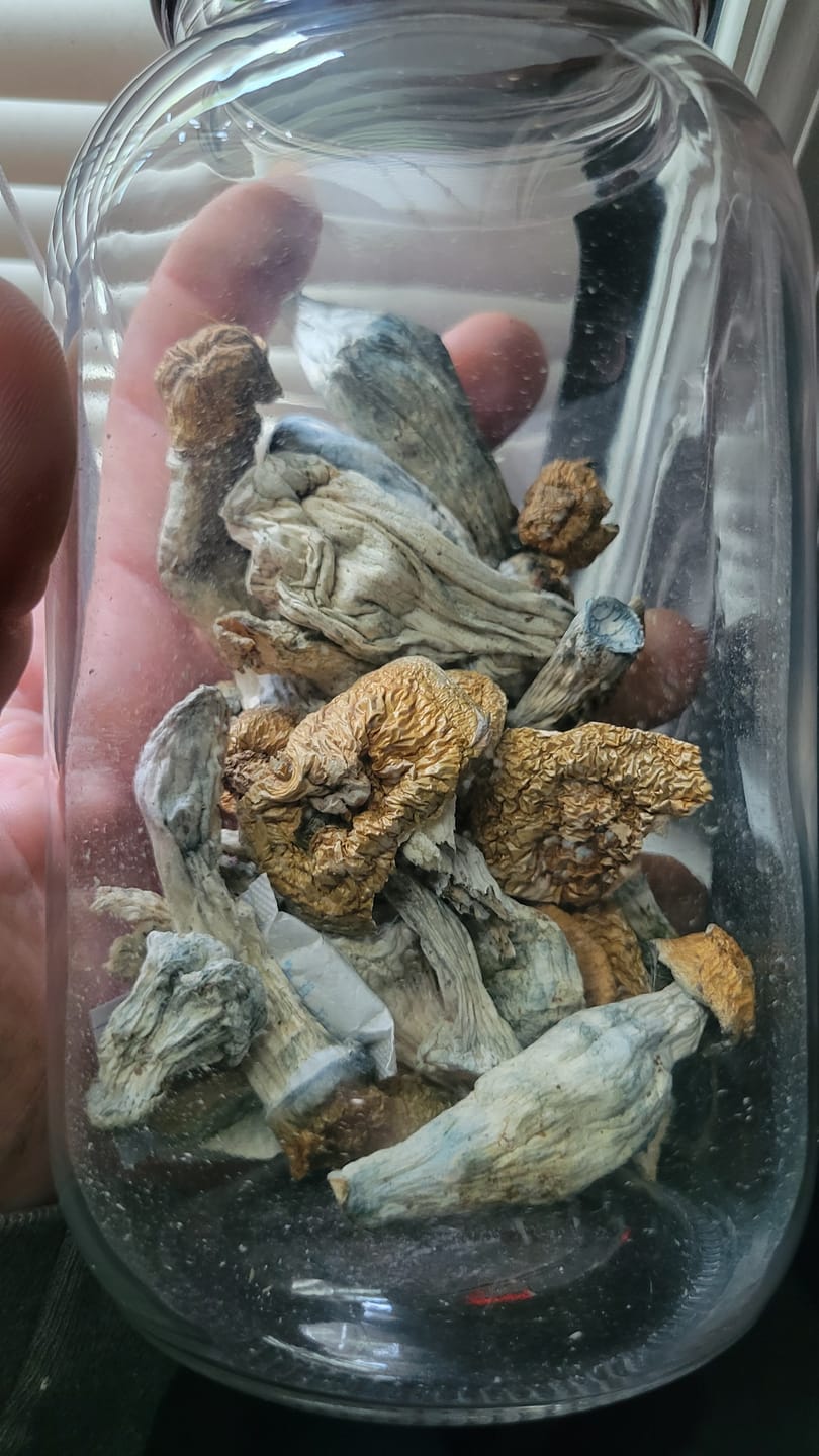 Customer photo review of Non Detect Raw Mushrooms