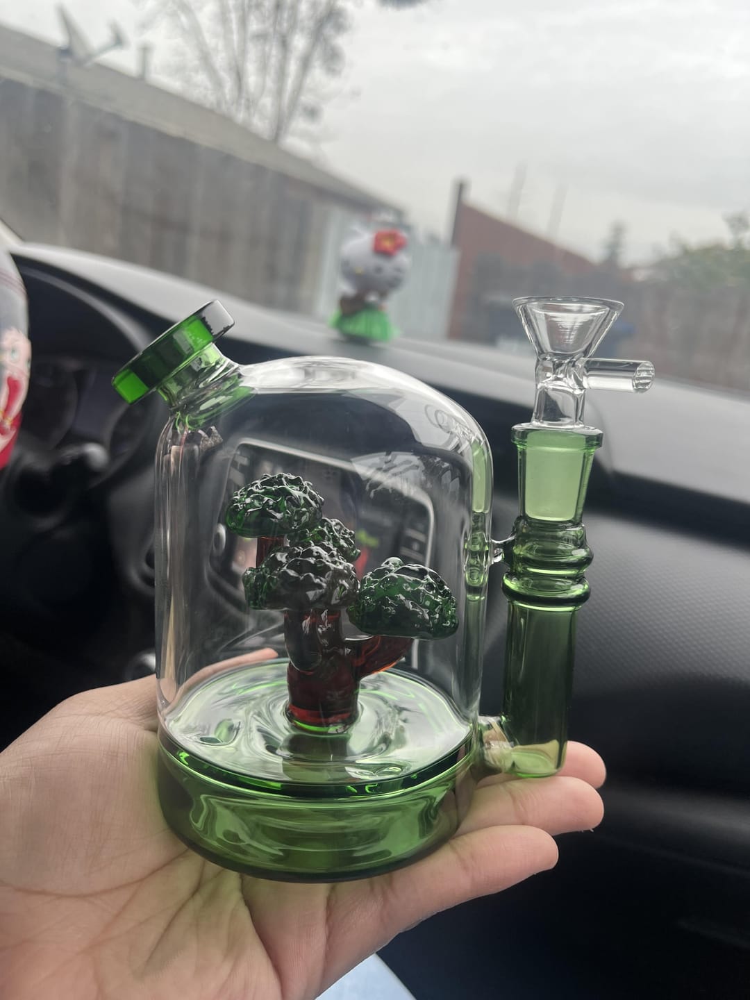 Customer photo review of BONSAI CLOCHE BONG