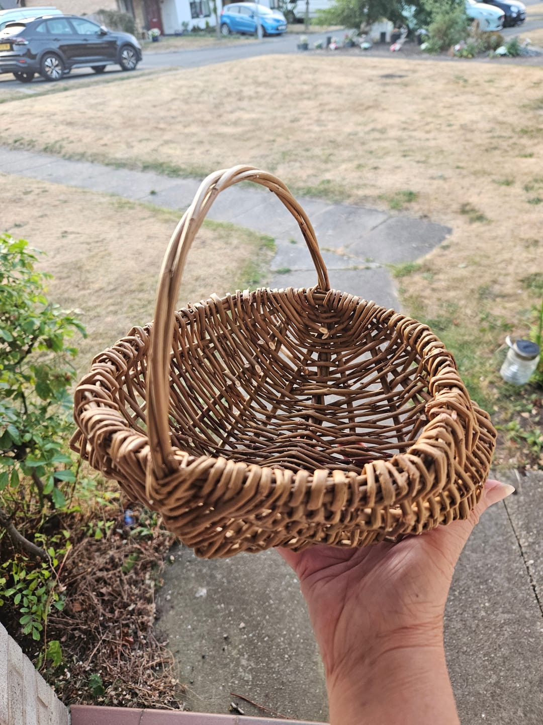 Customer photo review of The Foraging Basket - Course and Kit