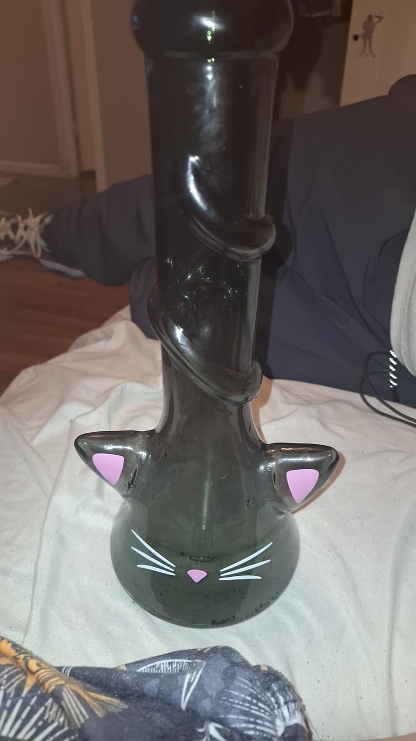 Customer photo review of CAT BONG