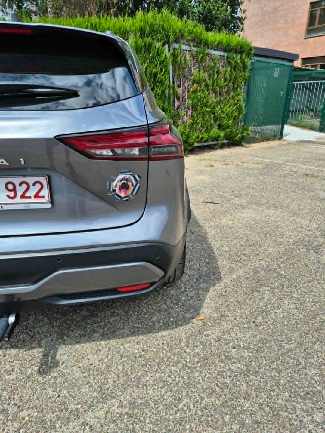 Customer photo review of Spioneren foto - Gepersonaliseerde autosticker