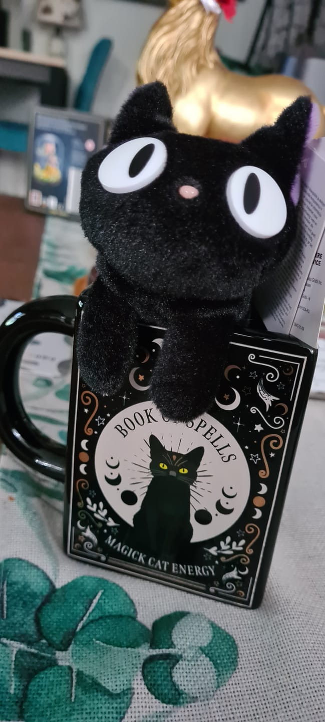 Customer photo review of Schwarze Katze Tasse Buchform – Witchy Buchtasse für Katzenliebhaber
