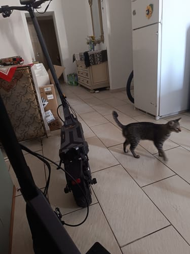 Customer photo review of Ausom DT2 Pro Dual Motor E-scooter