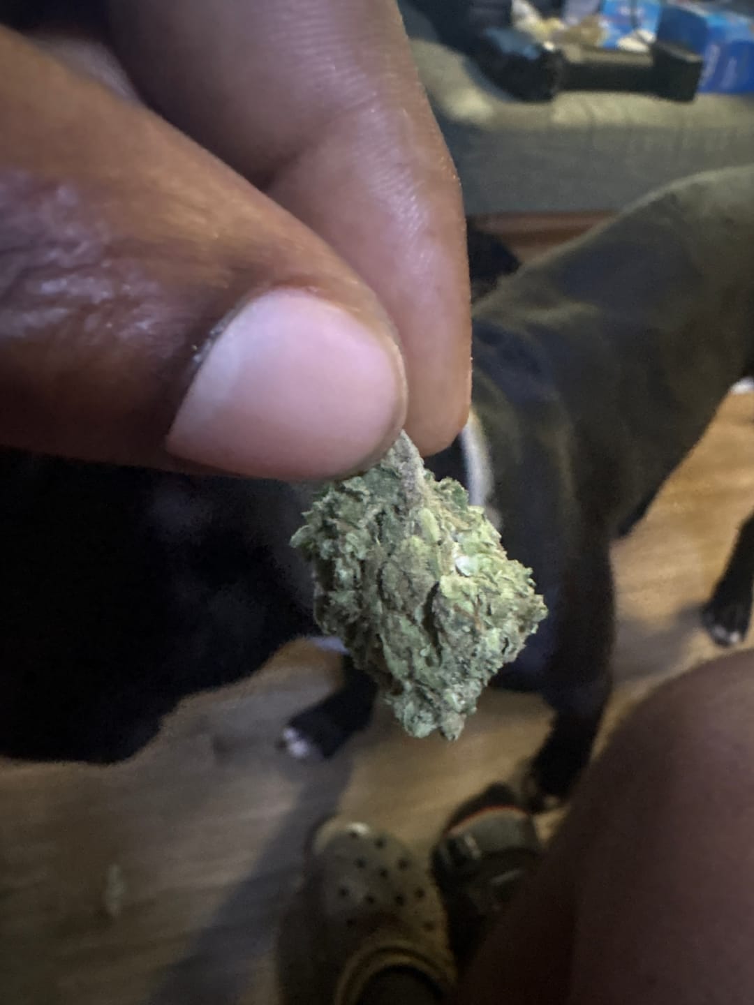 Customer photo review of Runtz - Bulk - Hybrid