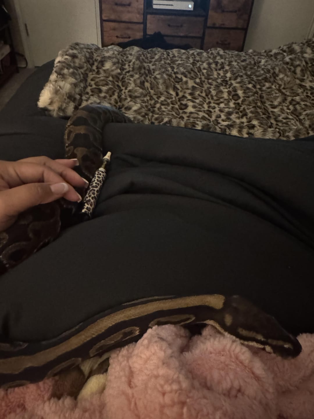 Customer photo review of LEOPARD PEN BATTERY