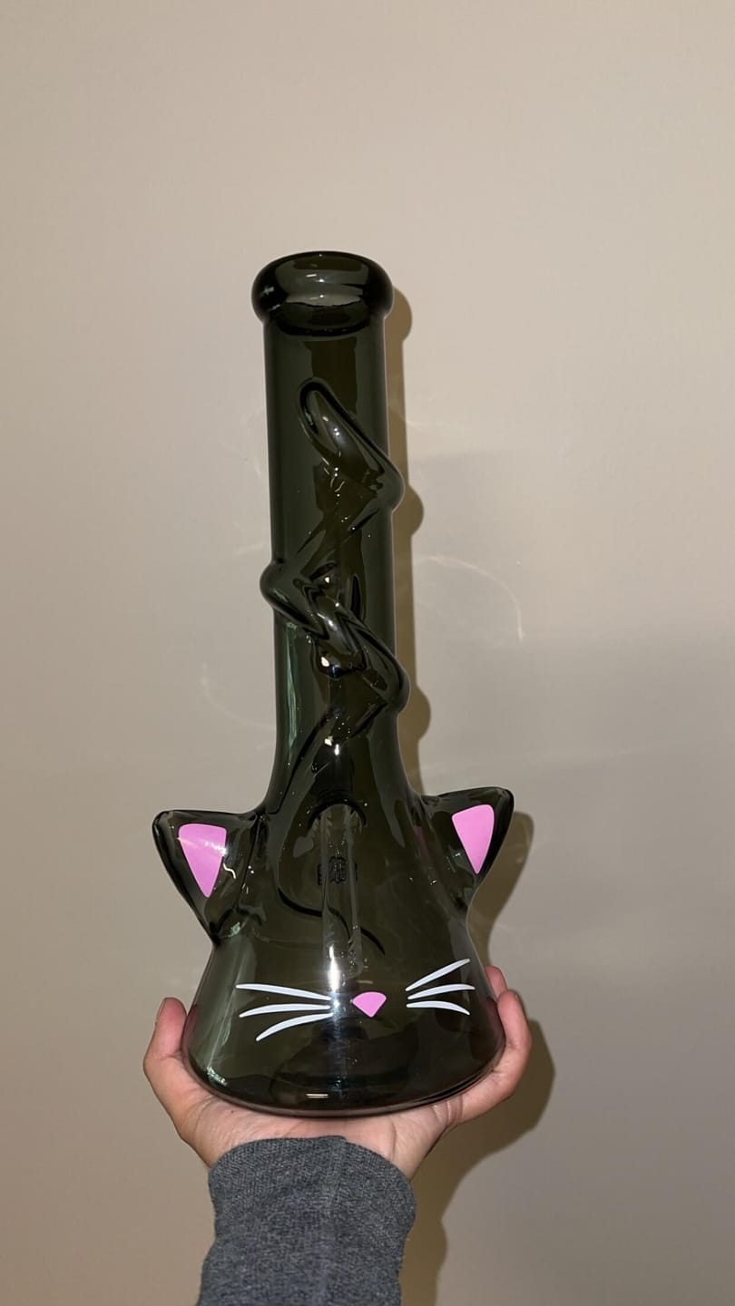 Customer photo review of CAT BONG