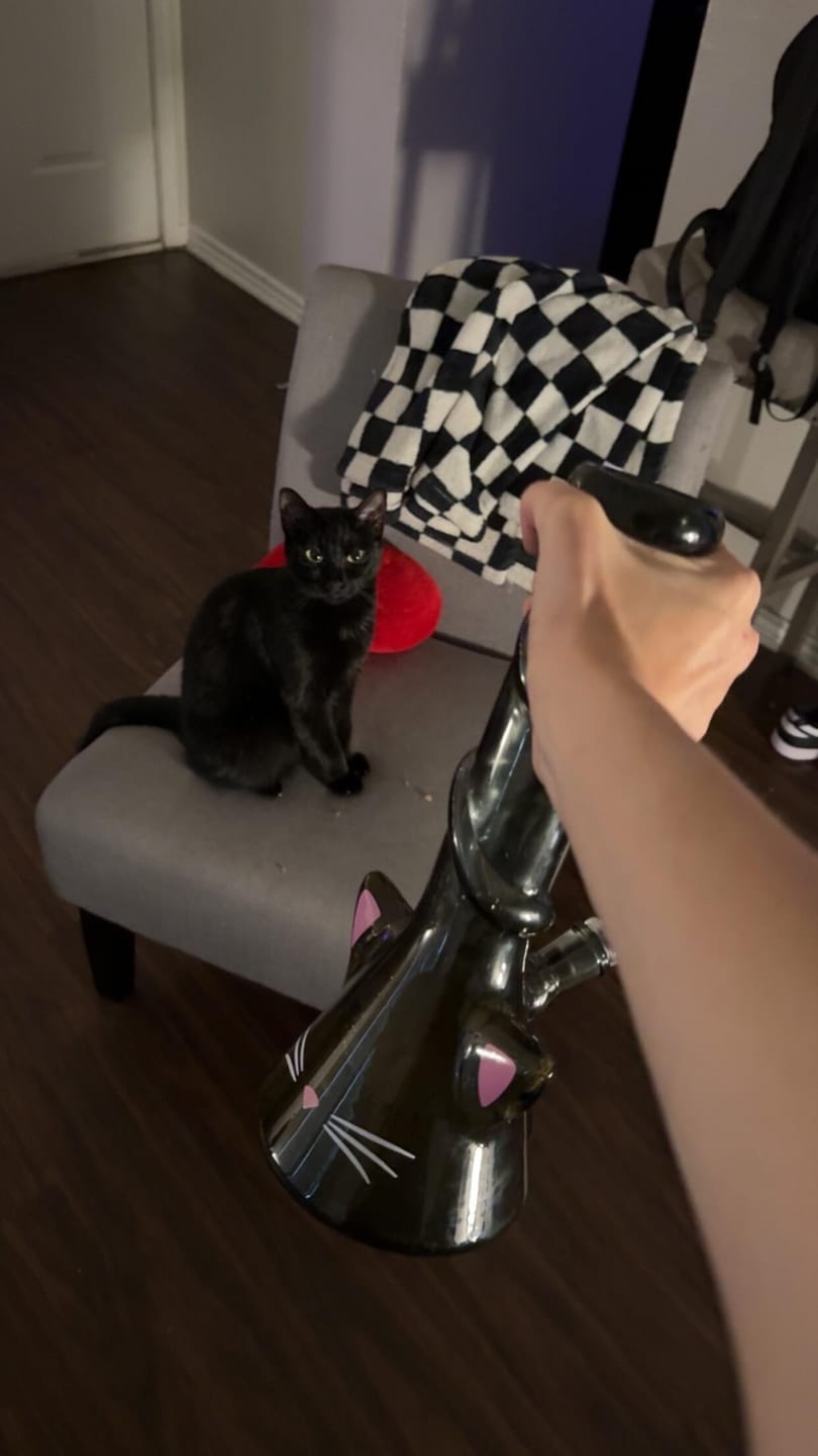 Customer photo review of CAT BONG