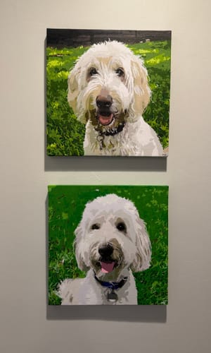 Customer's two finished custom paint by numbers portraits of their dogs hanging on a wall.