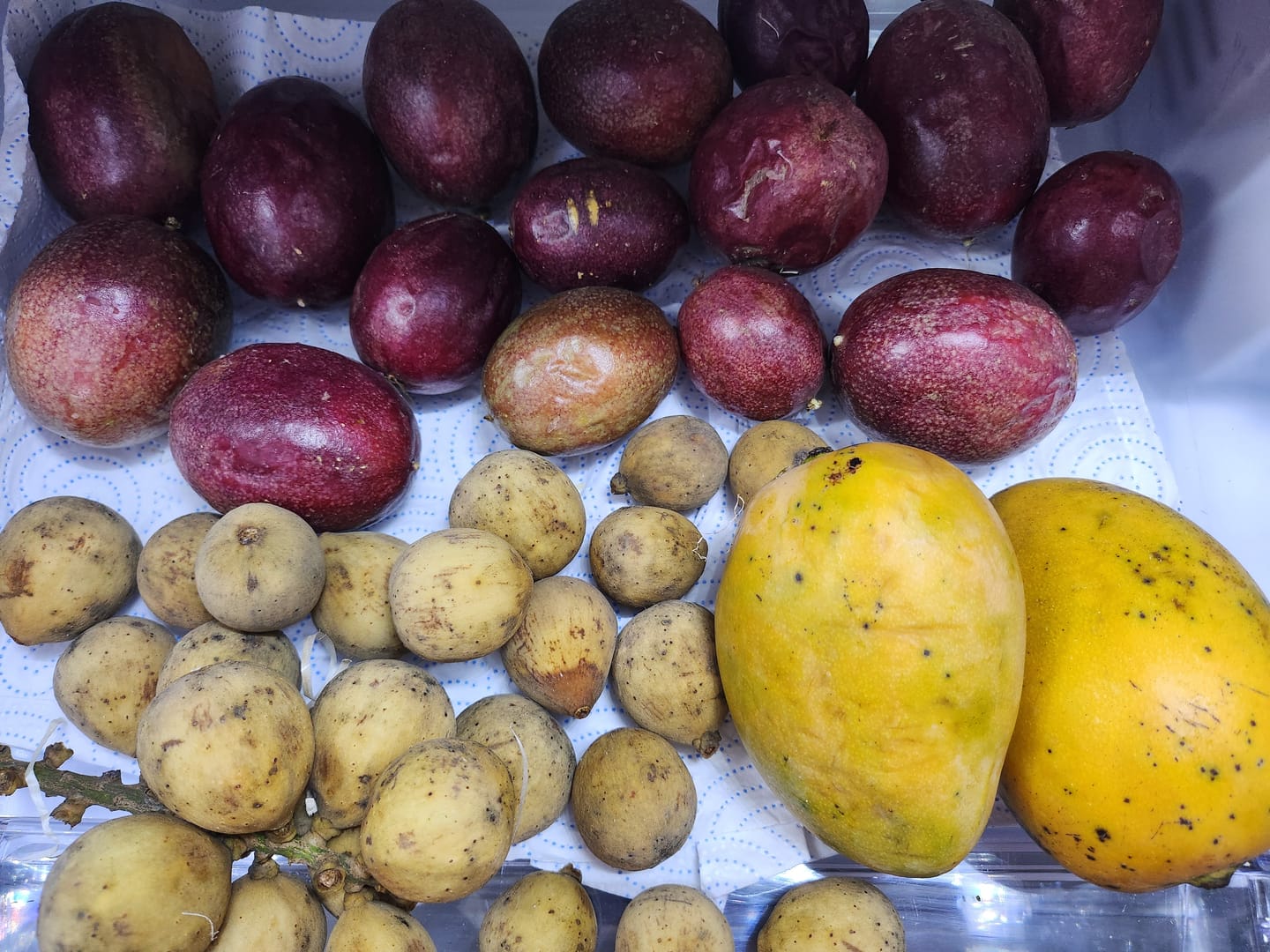 Customer photo review of Mango & Passionsfrüchte Box 2kg