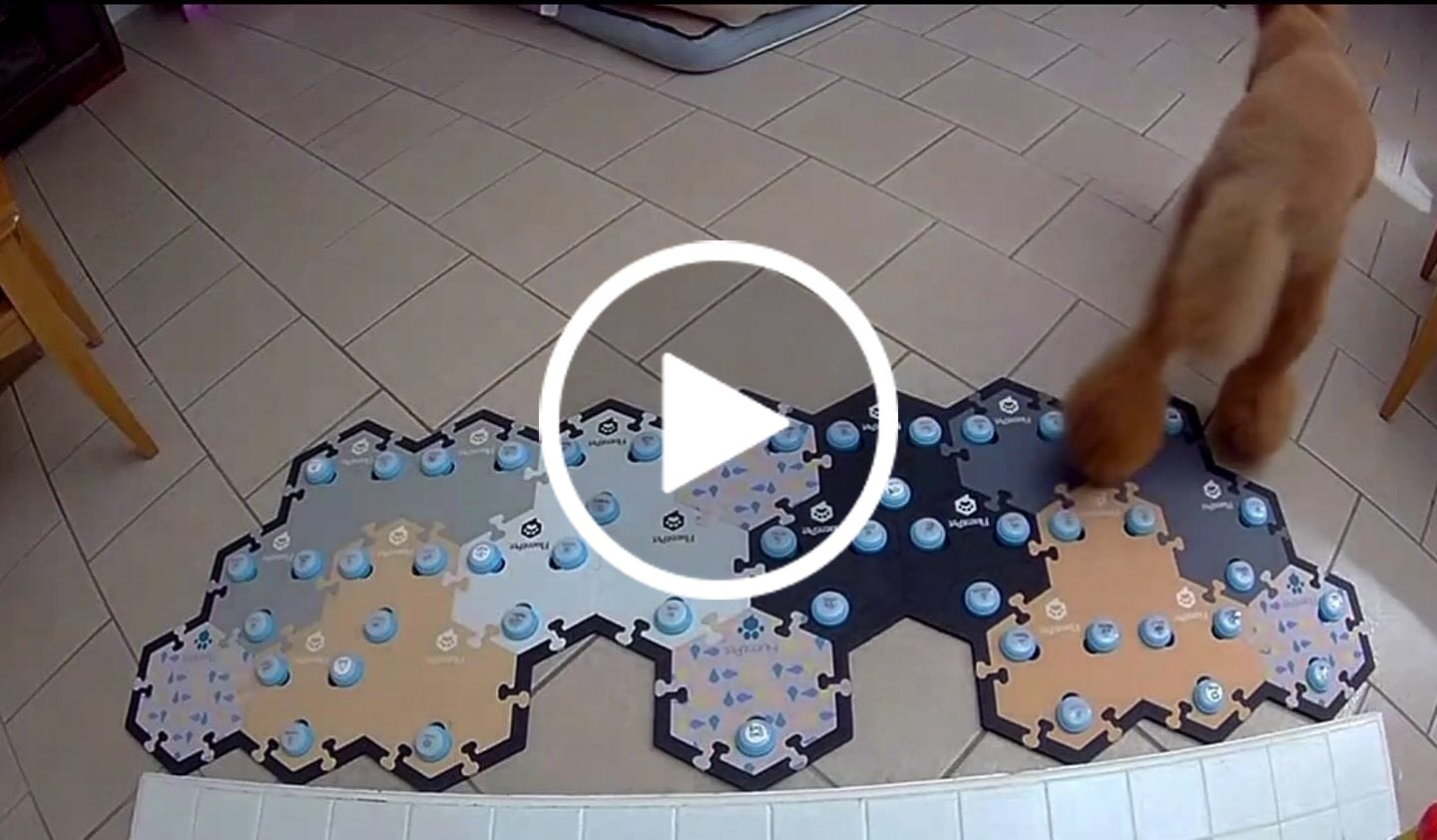 Customer video review of HexTile Multipacks