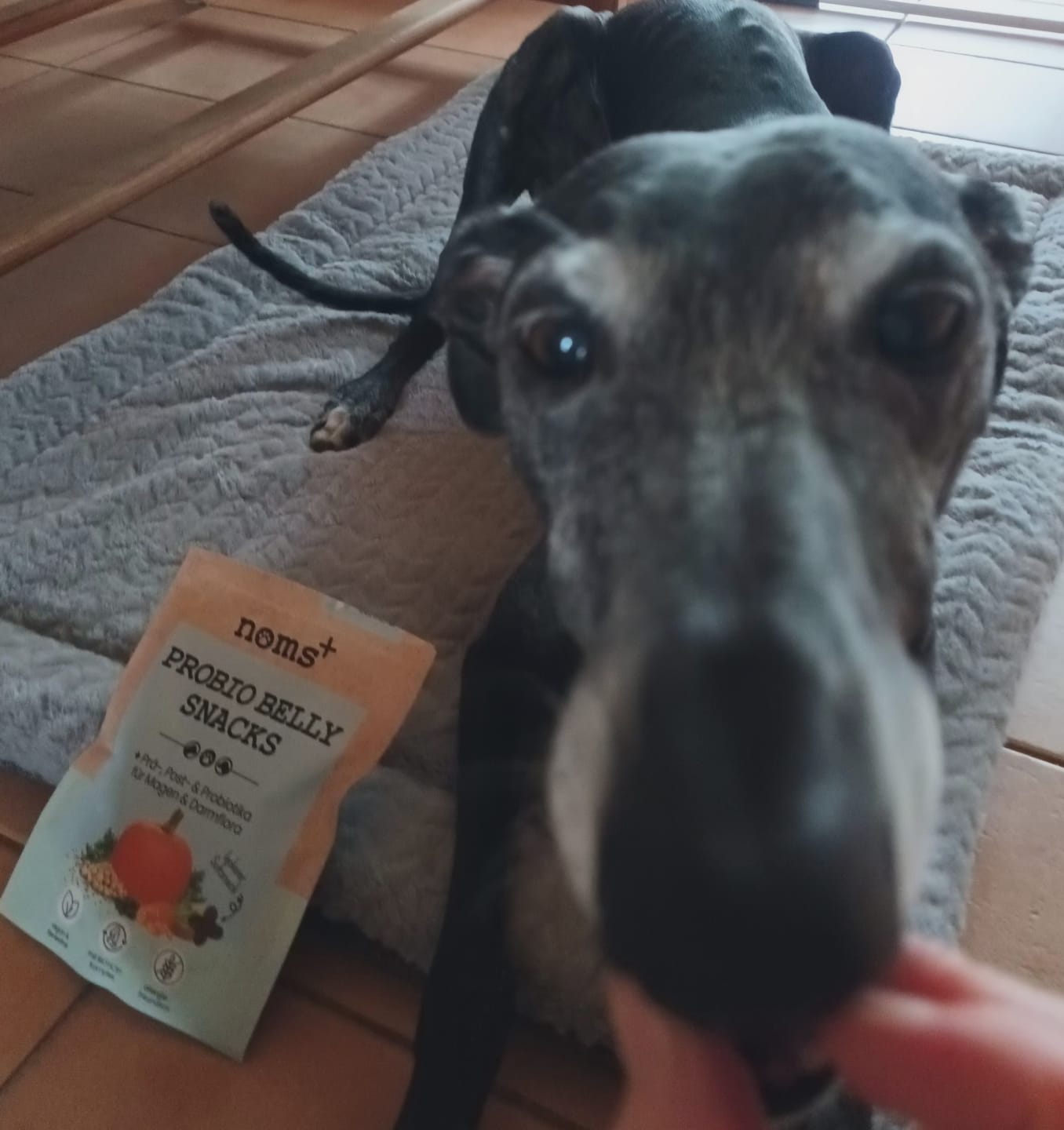 Customer photo review of Probio Belly Snacks für Hunde