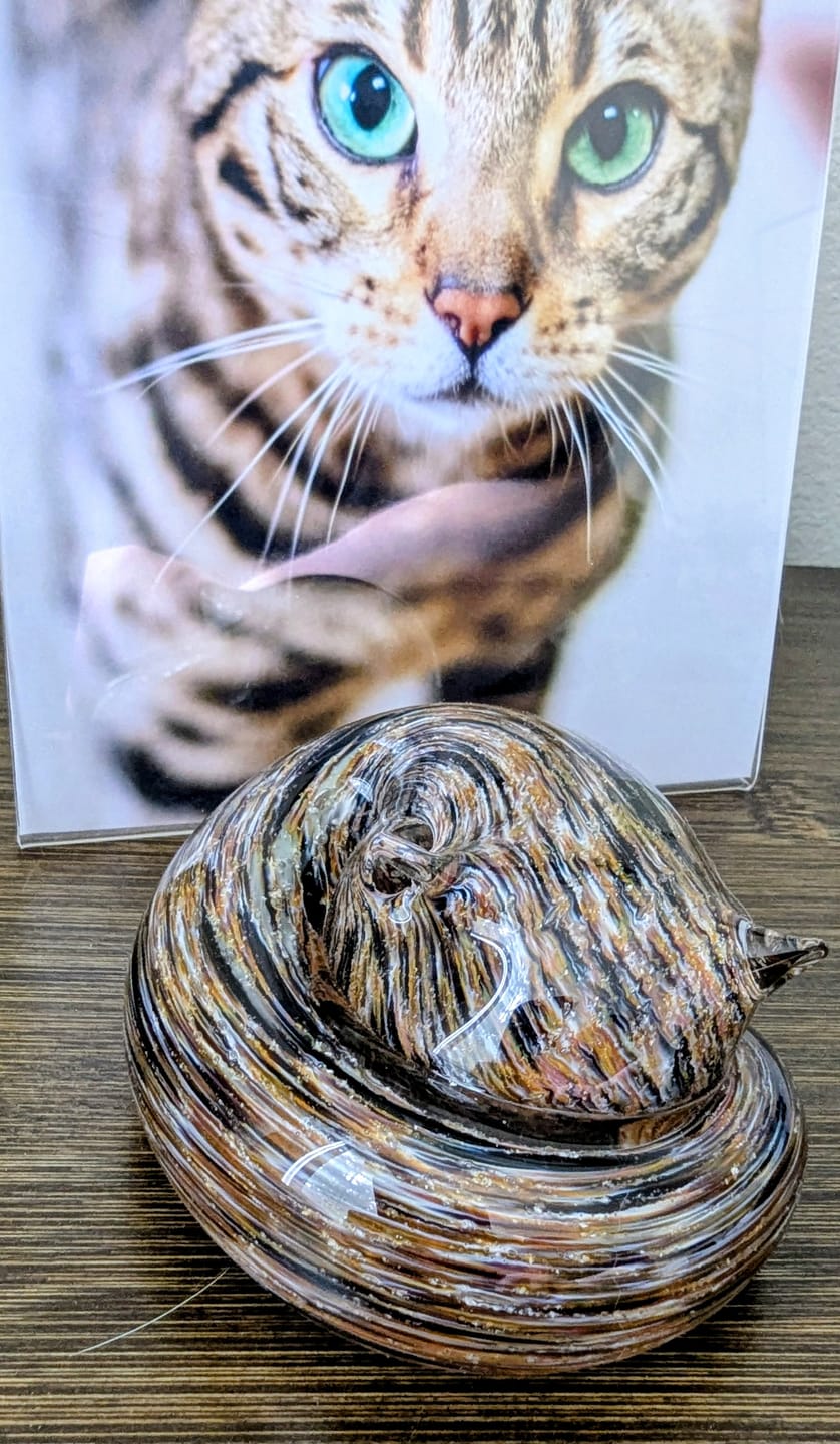 Customer photo review of Sleeping Cat with Infused Cremation Ashes