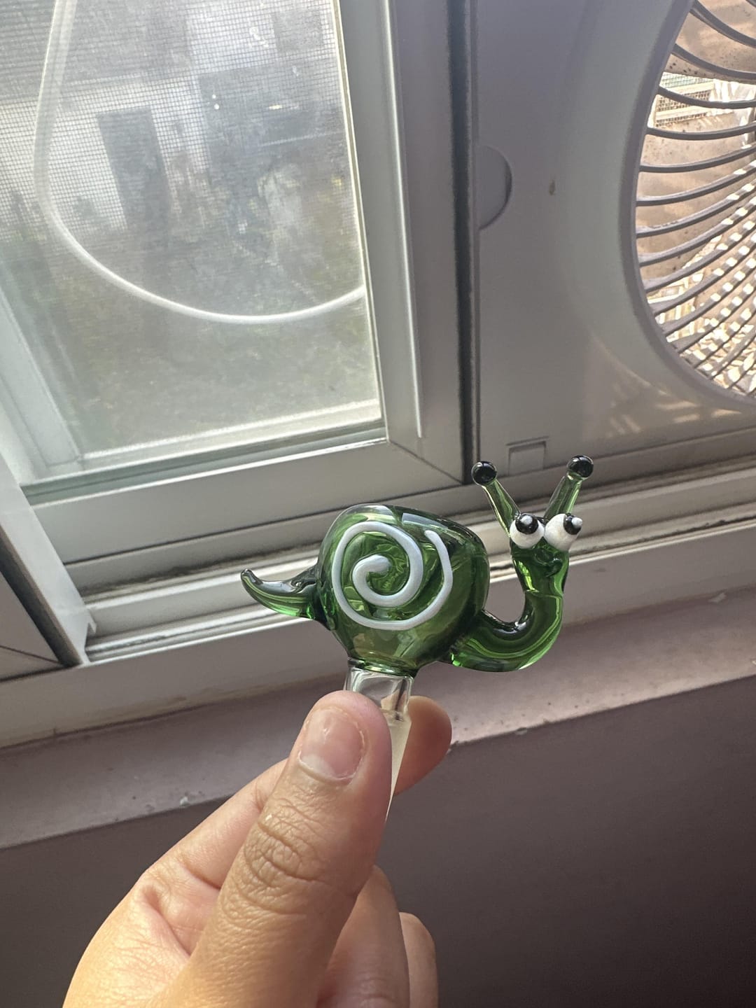 Customer photo review of SNAIL BOWL