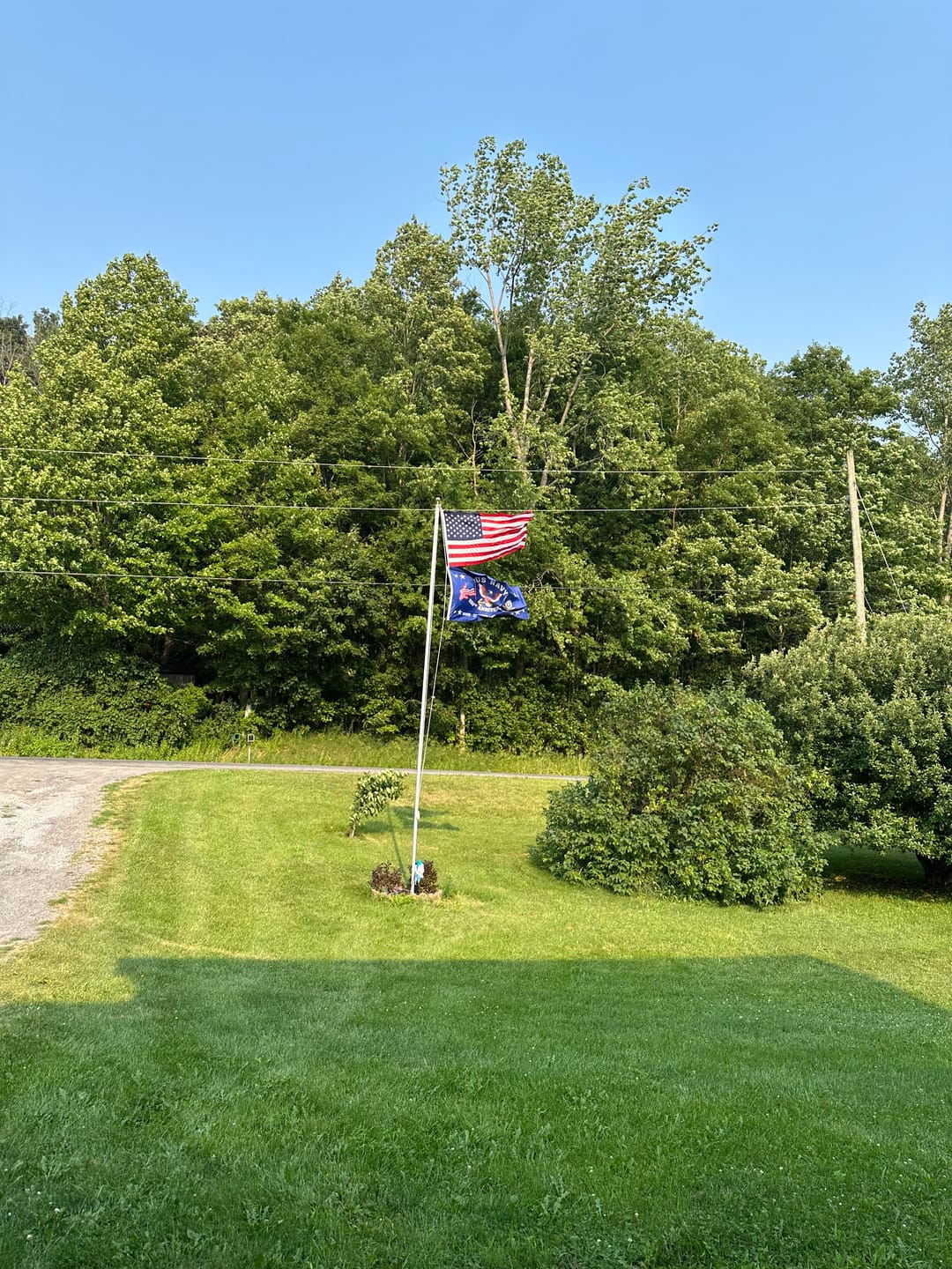 Customer photo review of US Navy Naval 250th Anniversary Flag